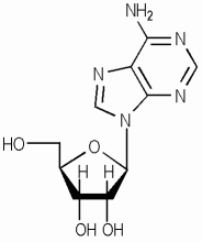 아데노신분자구조식